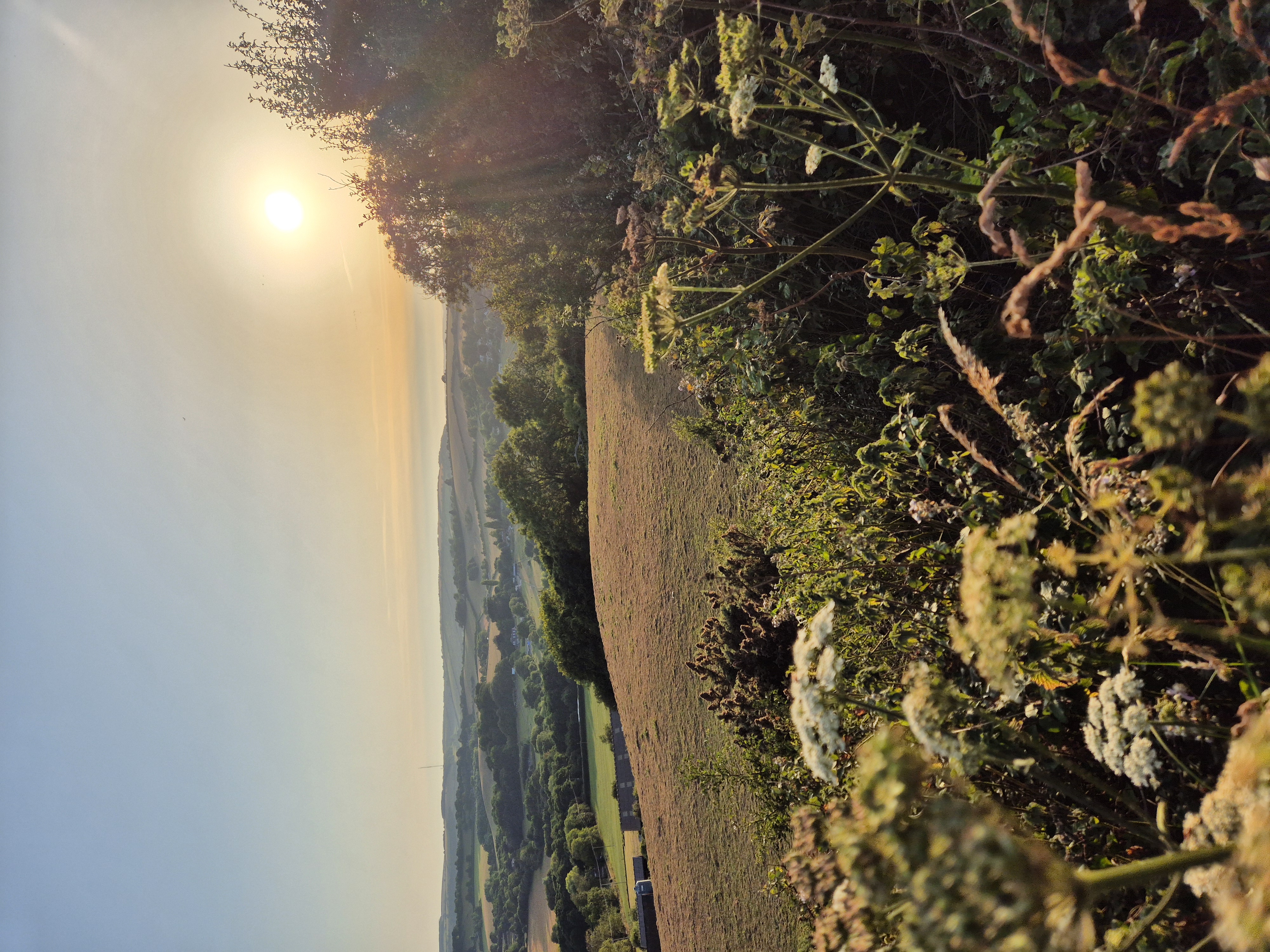 8k Run Arreton: Challenging Ascent with Scenic Views - Photo 1
