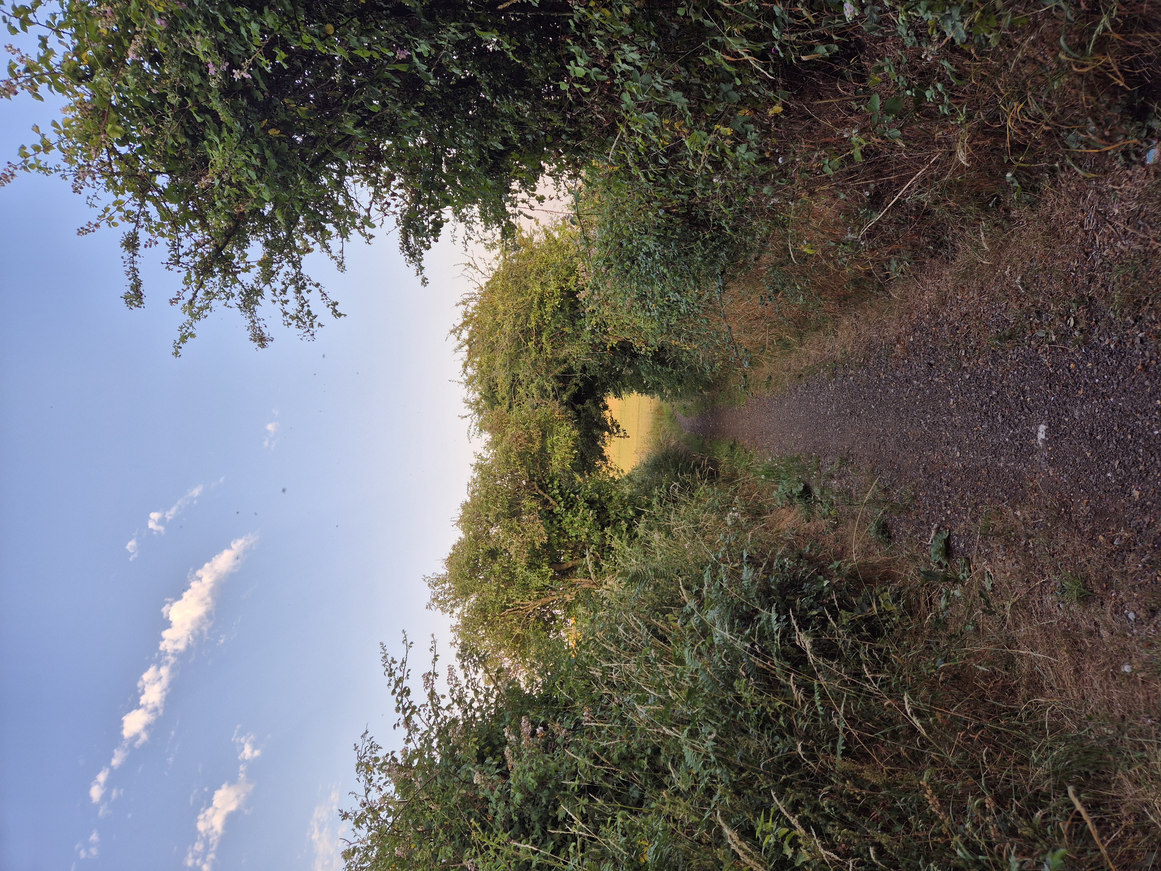 8k Run Arreton: Challenging Ascent with Scenic Views - Photo 8