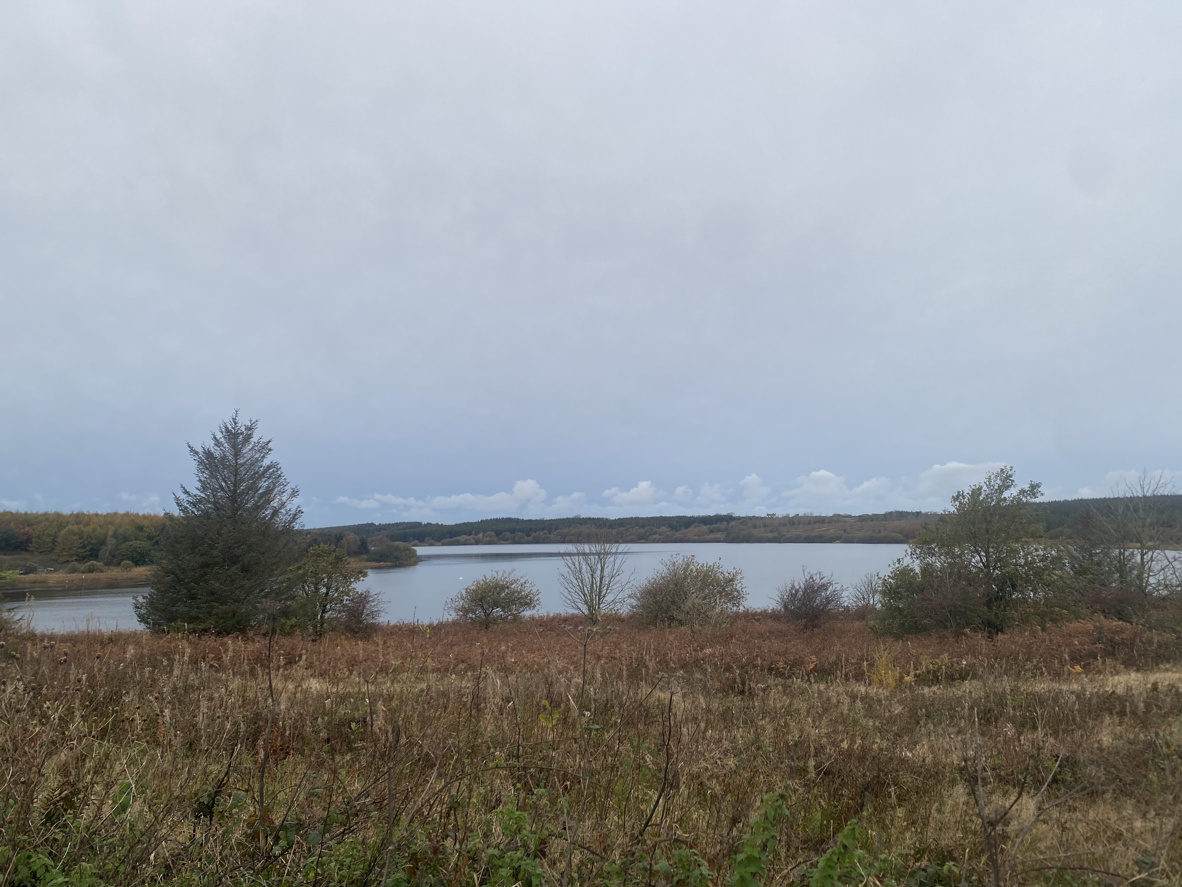 10k Run Llangefni: Scenic Loop Around Llyn Cefni - Photo 7
