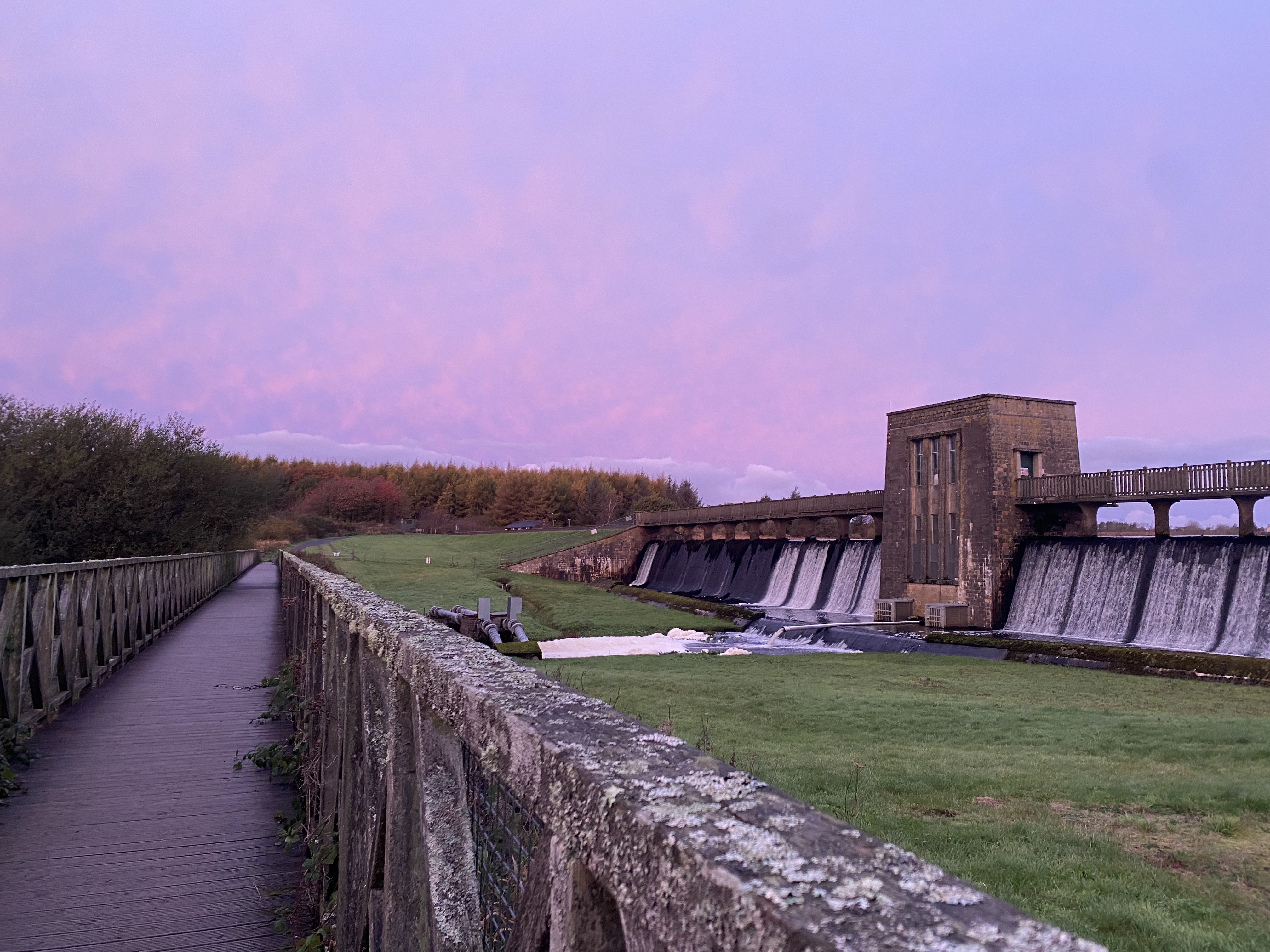 10k Run Llangefni: Scenic Loop Around Llyn Cefni - Photo 4