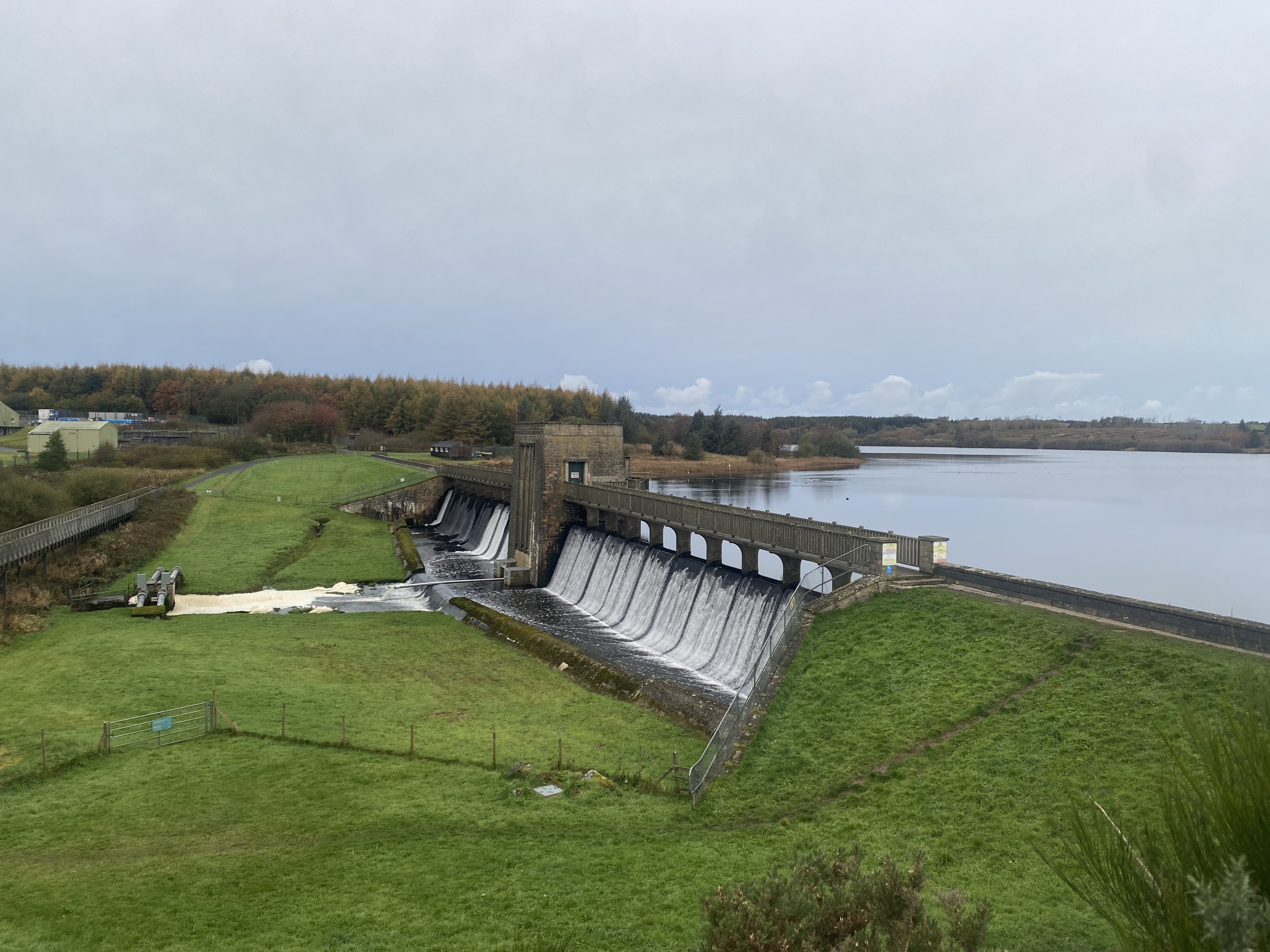 10k Run Llangefni: Scenic Loop Around Llyn Cefni - Photo 6