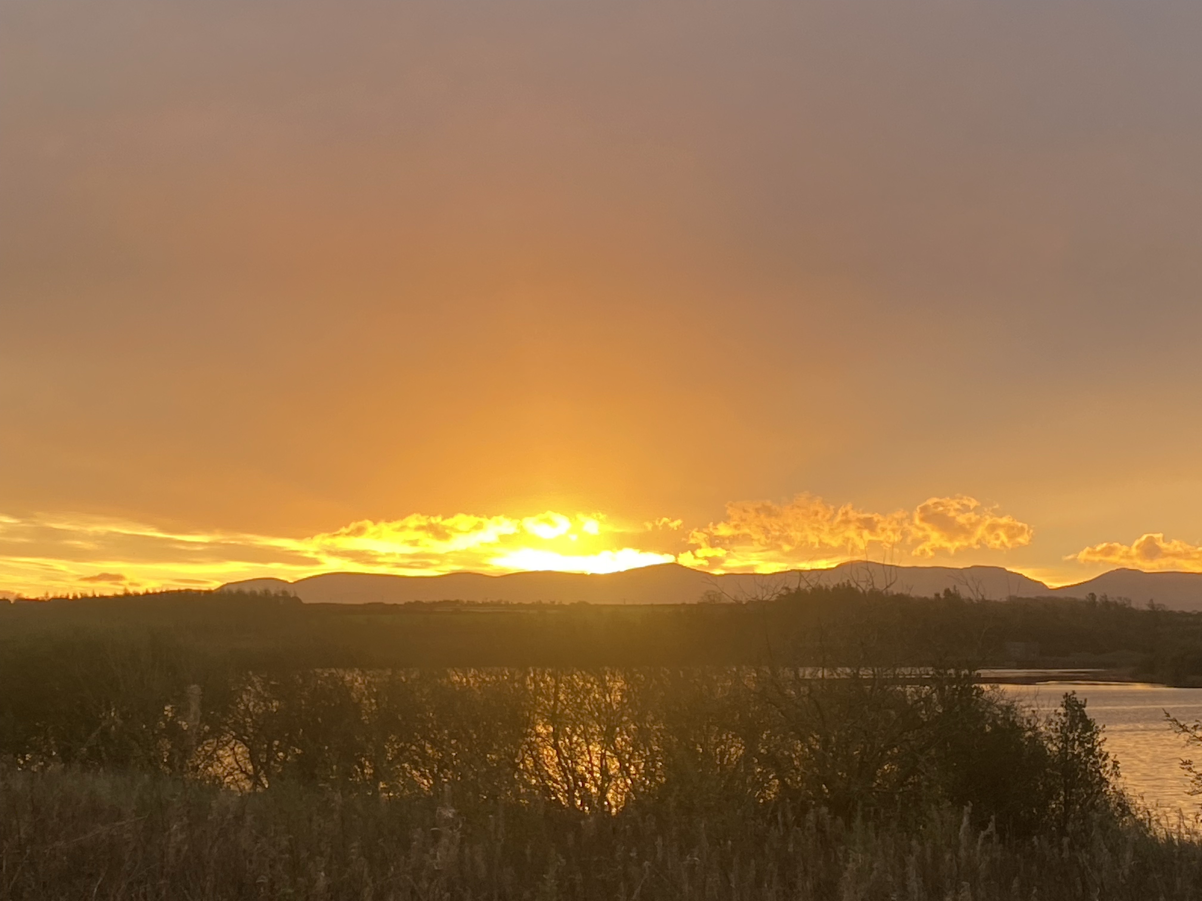 10k Run Llangefni: Scenic Loop Around Llyn Cefni - Photo 5
