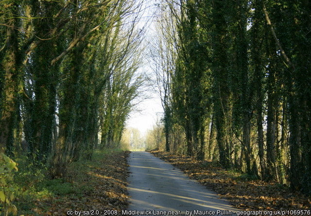 Guyers Lane and Pickwick Loop - Photo 2
