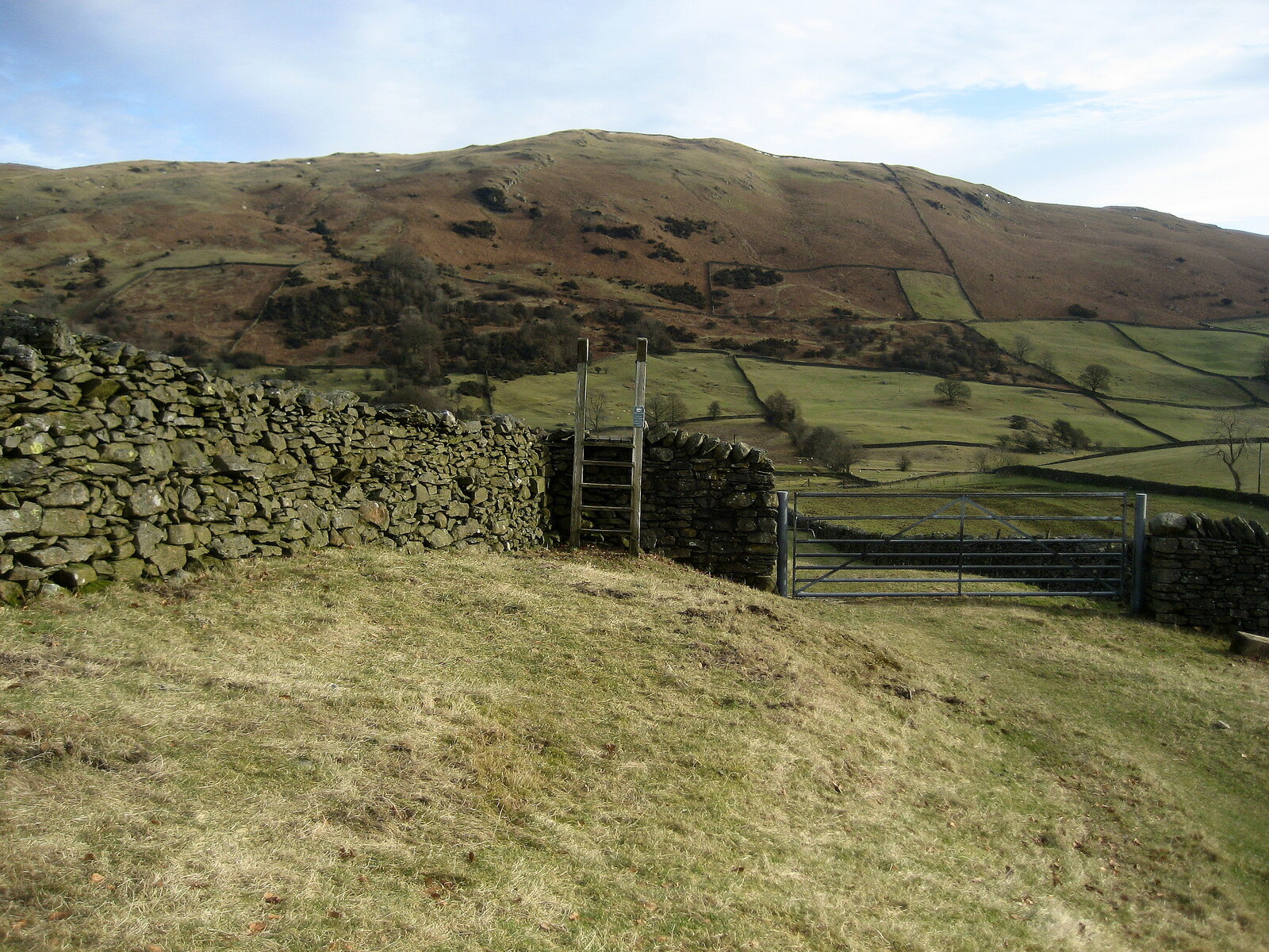 Anytime Race 5: Staveley - Photo 3