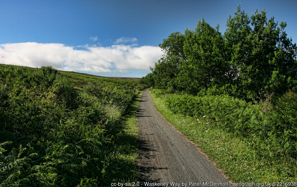 Whitehall - Waskerley - Photo 1