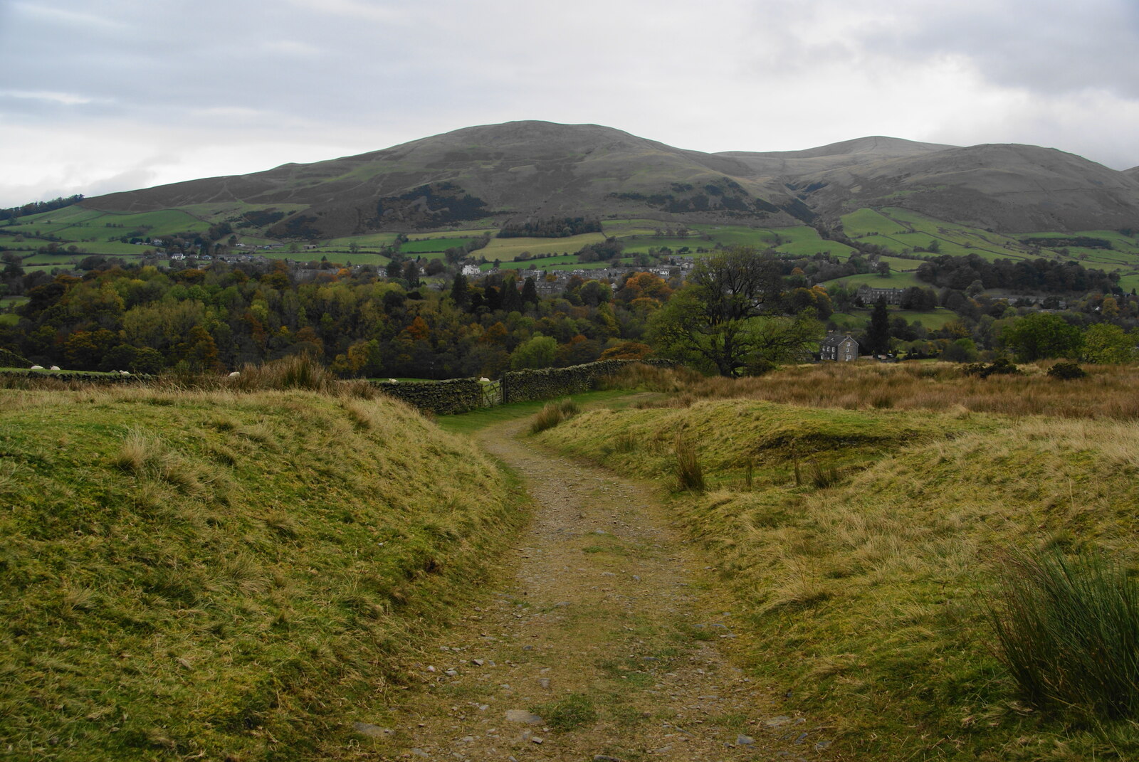 Anytime Race 4:  Dent Dale - Photo 3