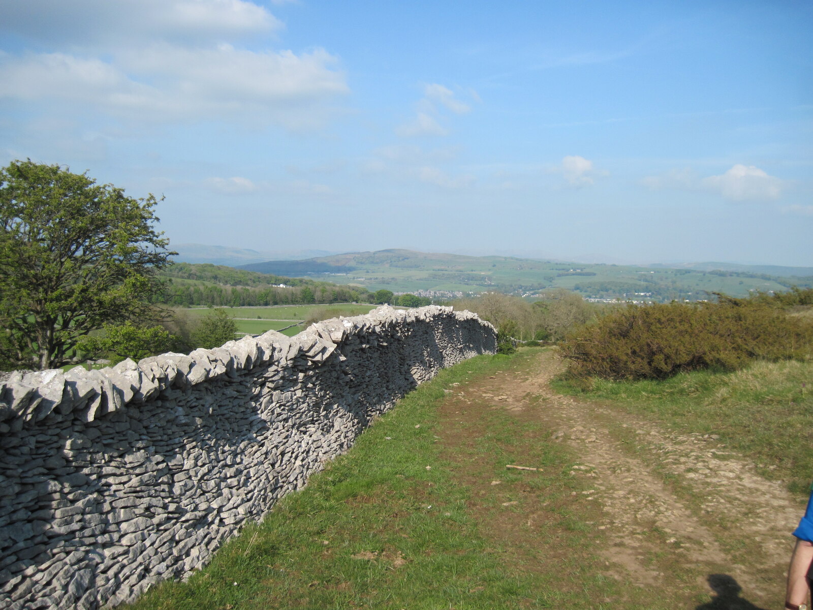 Anytime Race 3: Scout Scar - Photo 2