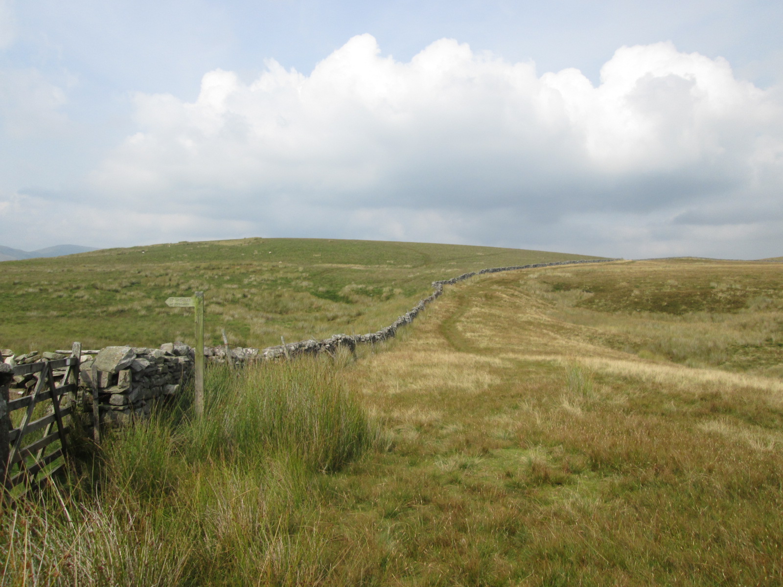 Anytime Race 4:  Dent Dale - Photo 2