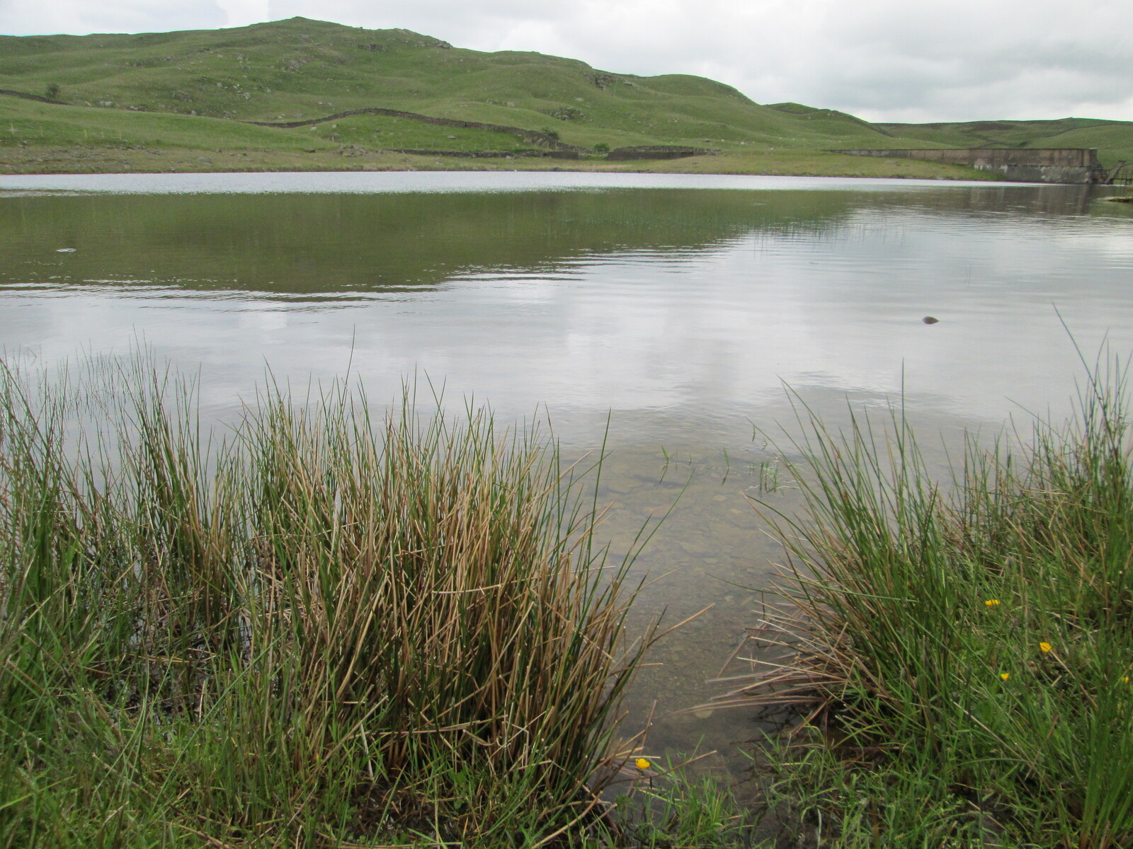 Anytime Race 5: Staveley - Photo 2