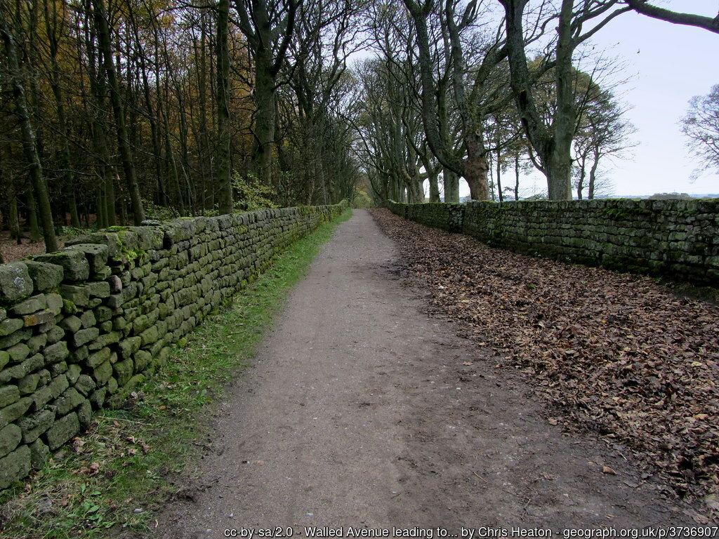 7k Run Bradford: Scenic Altar Lane Loop with Coppice Pond - Photo 1