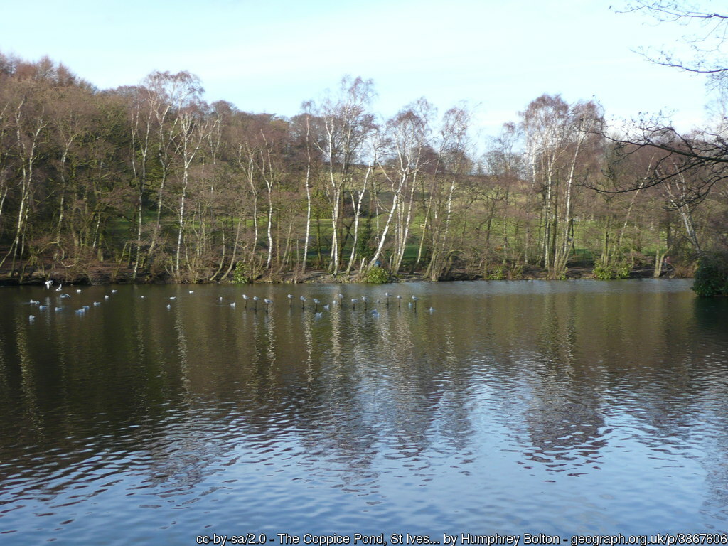 7k Run Bradford: Scenic Altar Lane Loop with Coppice Pond - Photo 4