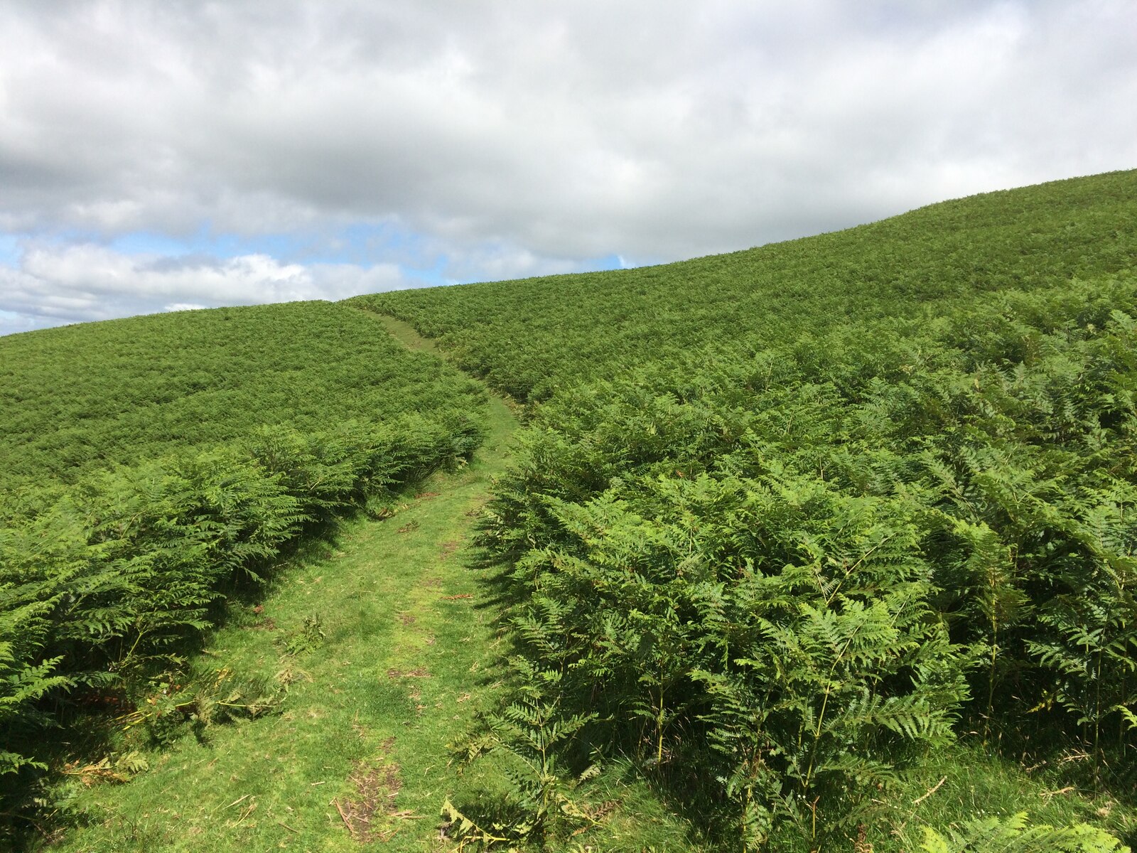 Anytime Race 6: Sedbergh - Photo 5