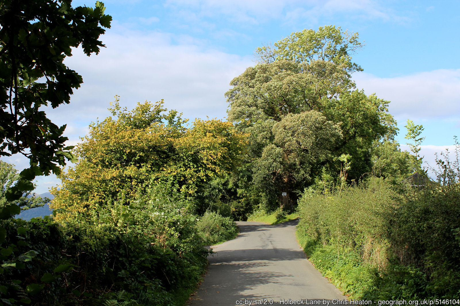 Low Skelghyll Out & Back - Photo 2