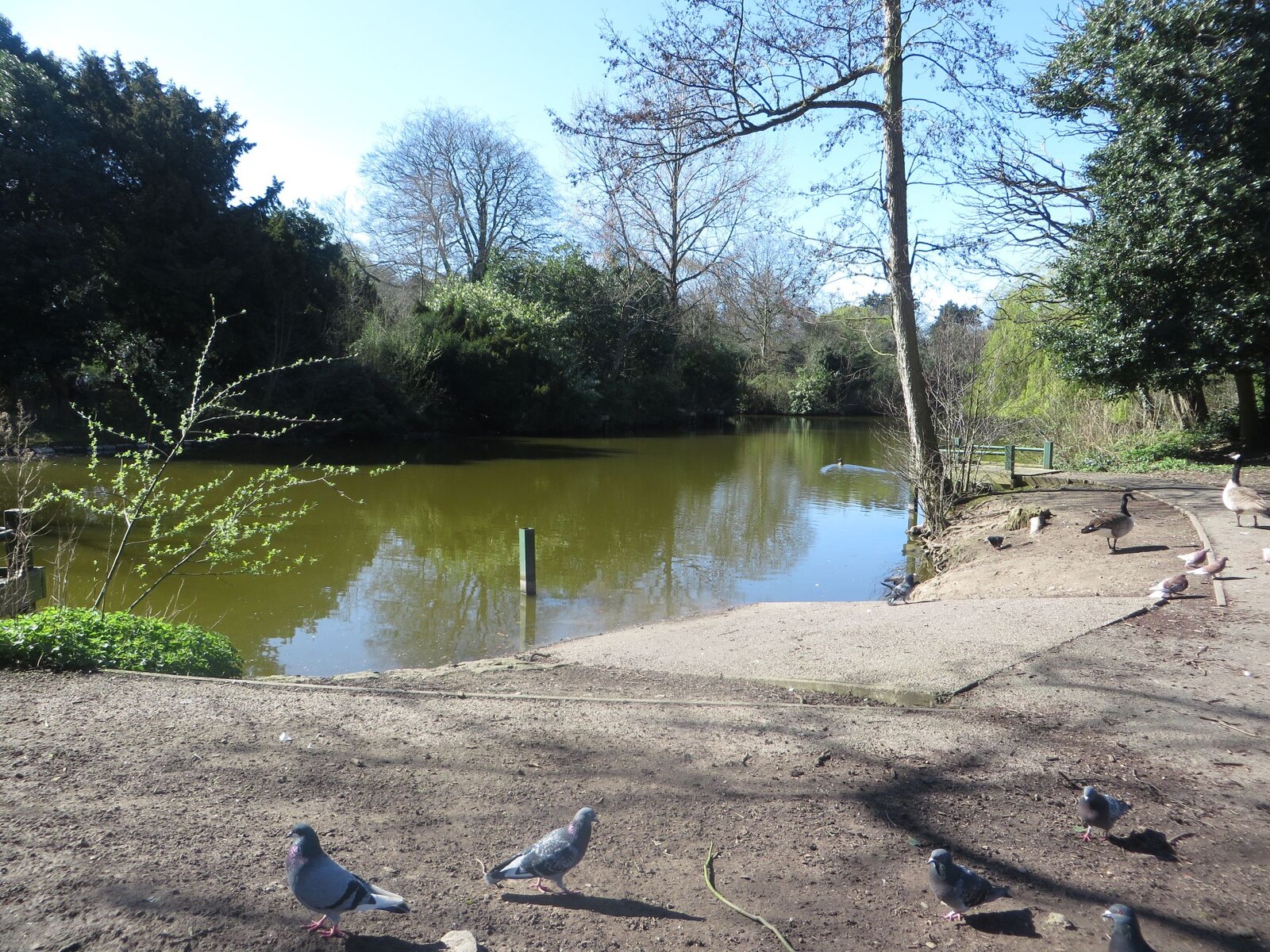 Birkenhead parkrun - Photo 1