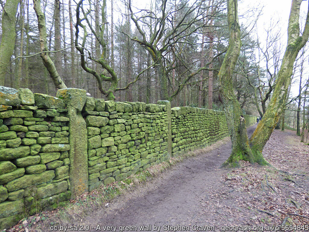 7k Run Bradford: Scenic Altar Lane Loop with Coppice Pond - Photo 2