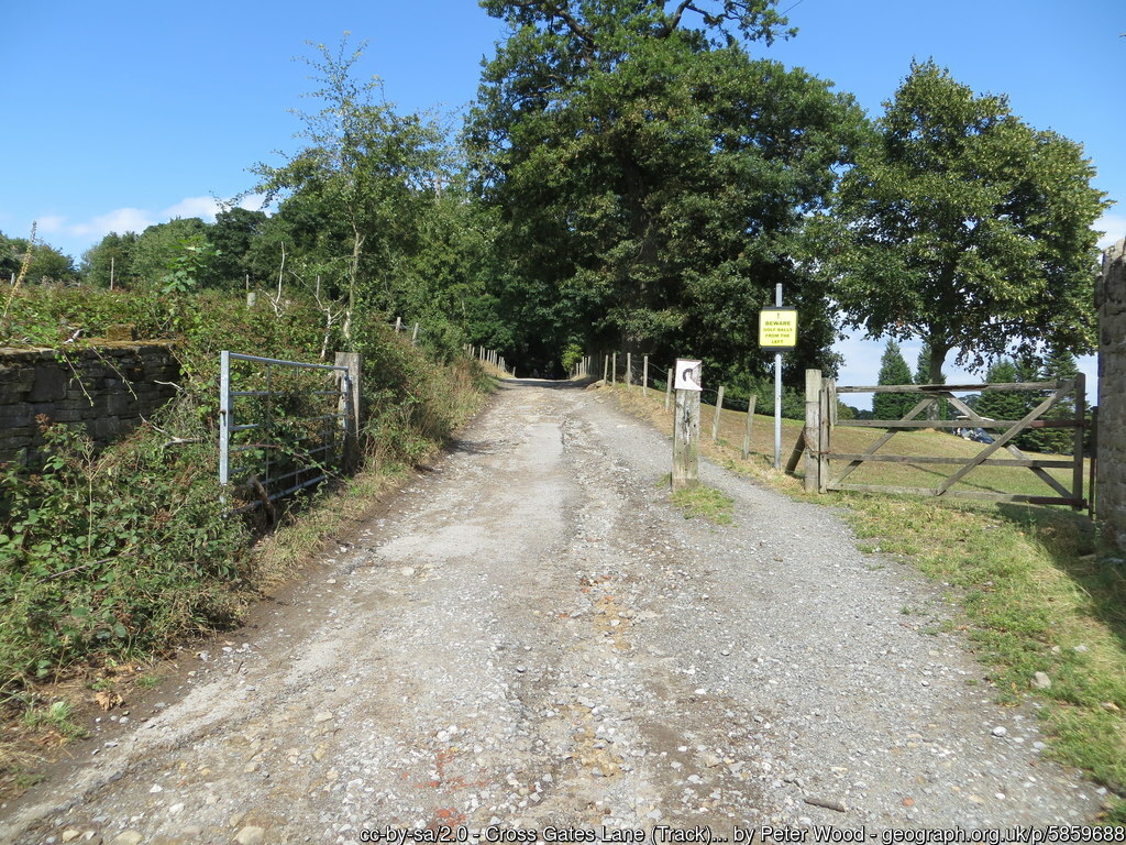 7k Run Bradford: Scenic Altar Lane Loop with Coppice Pond - Photo 5