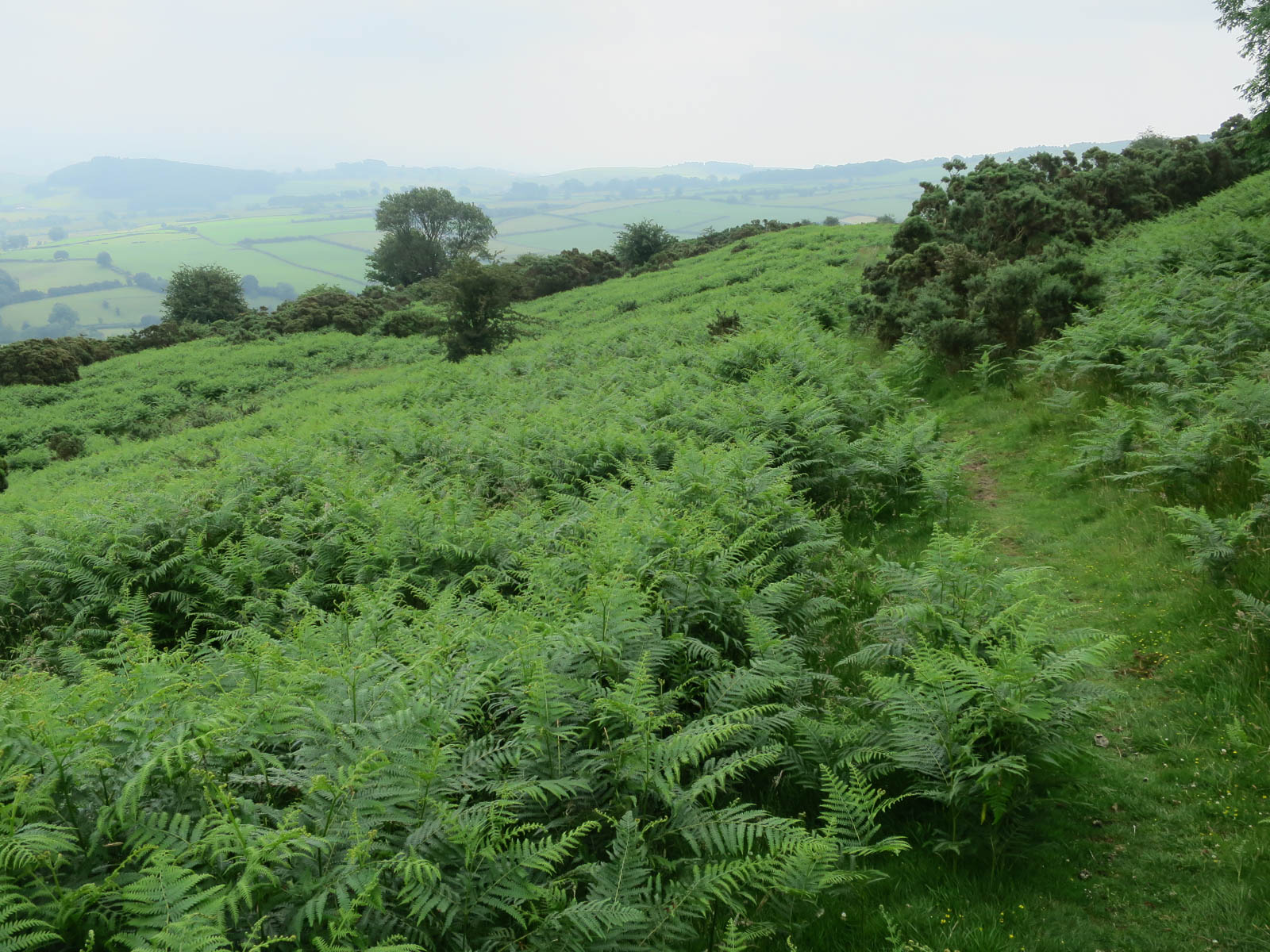 Anytime Race 1: Farleton Fell - Photo 2