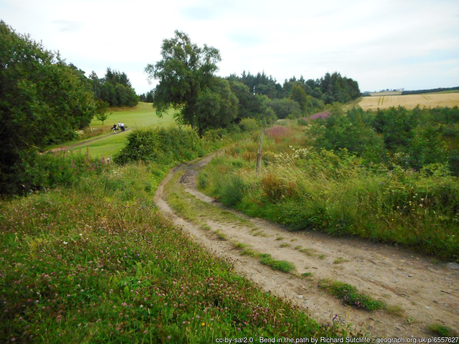 Torrance Trail 5k - Photo 1