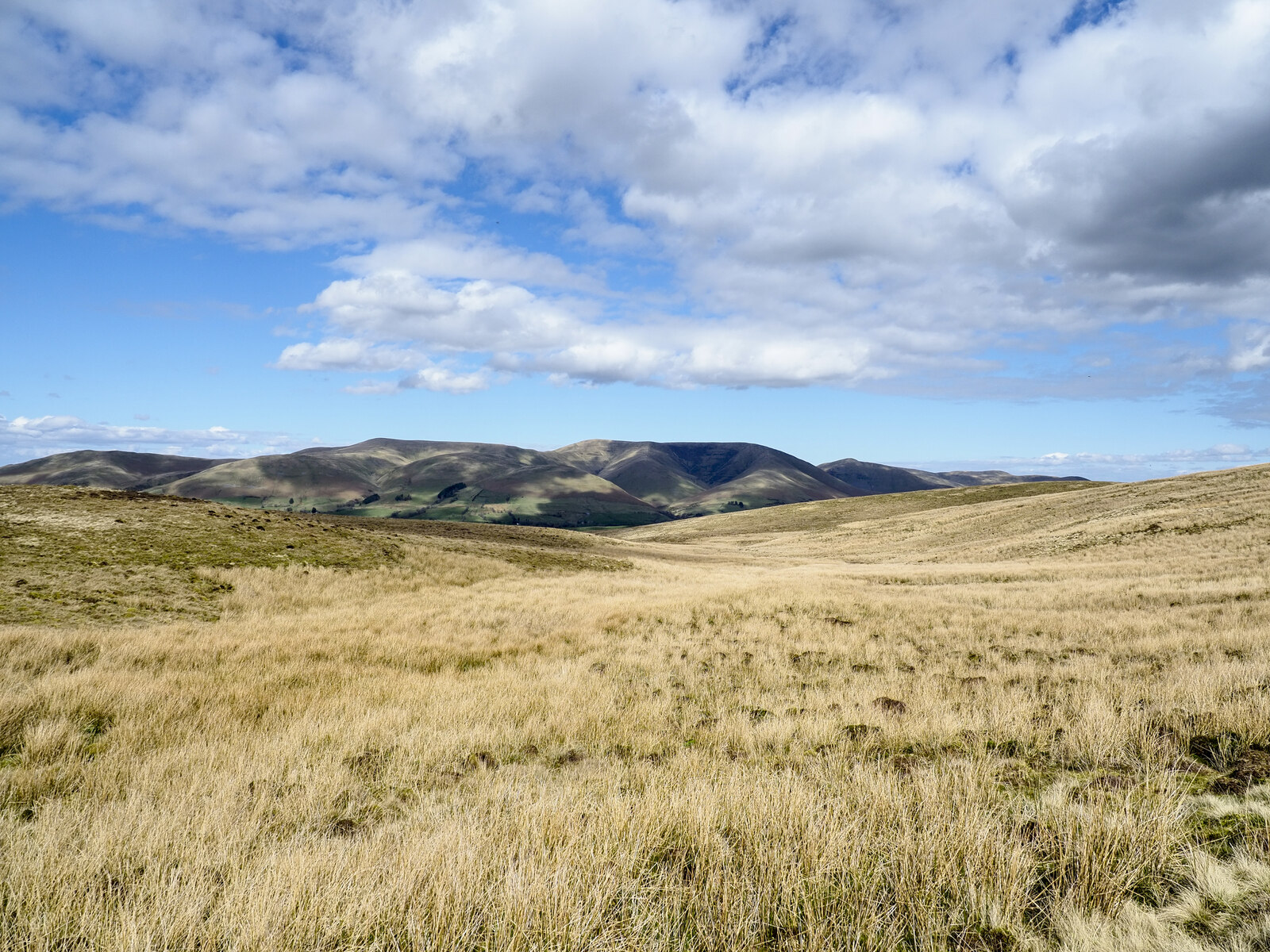 Anytime Race 4:  Dent Dale - Photo 1