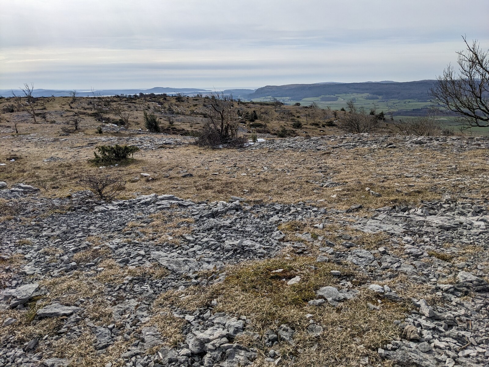 Anytime Race 3: Scout Scar - Photo 1