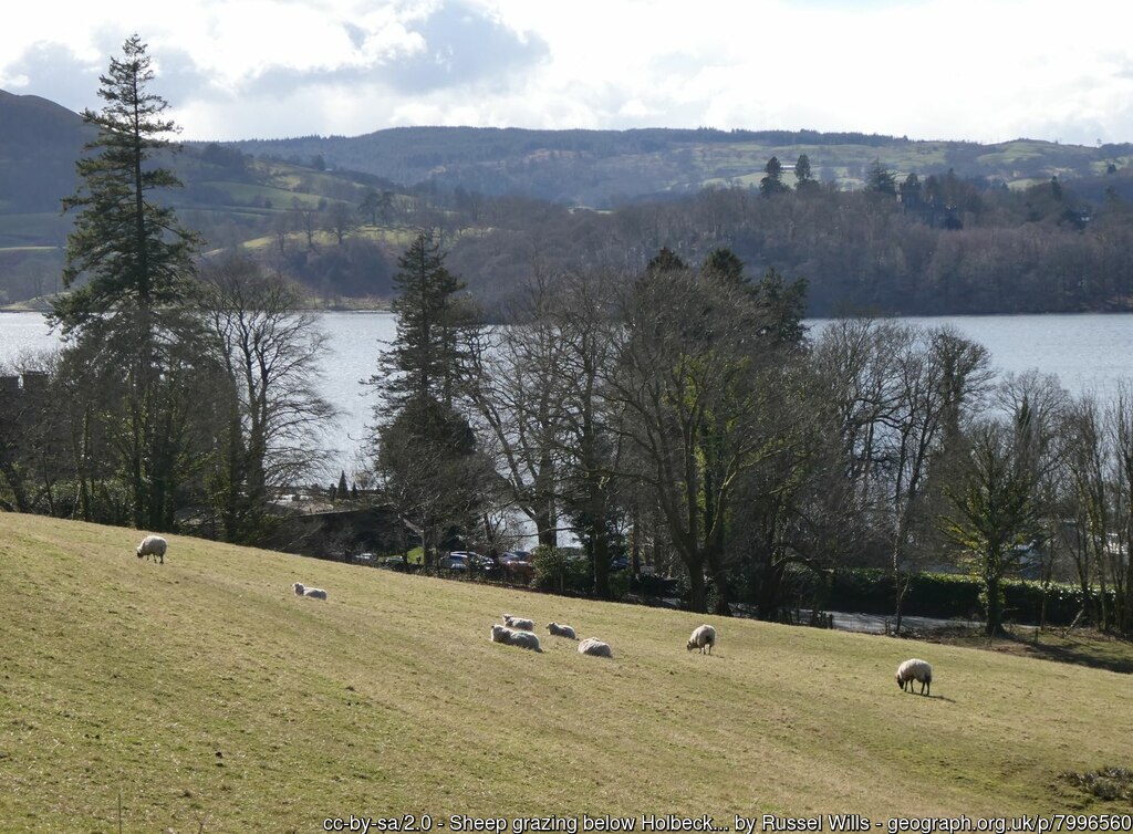 Low Skelghyll Out & Back - Photo 1