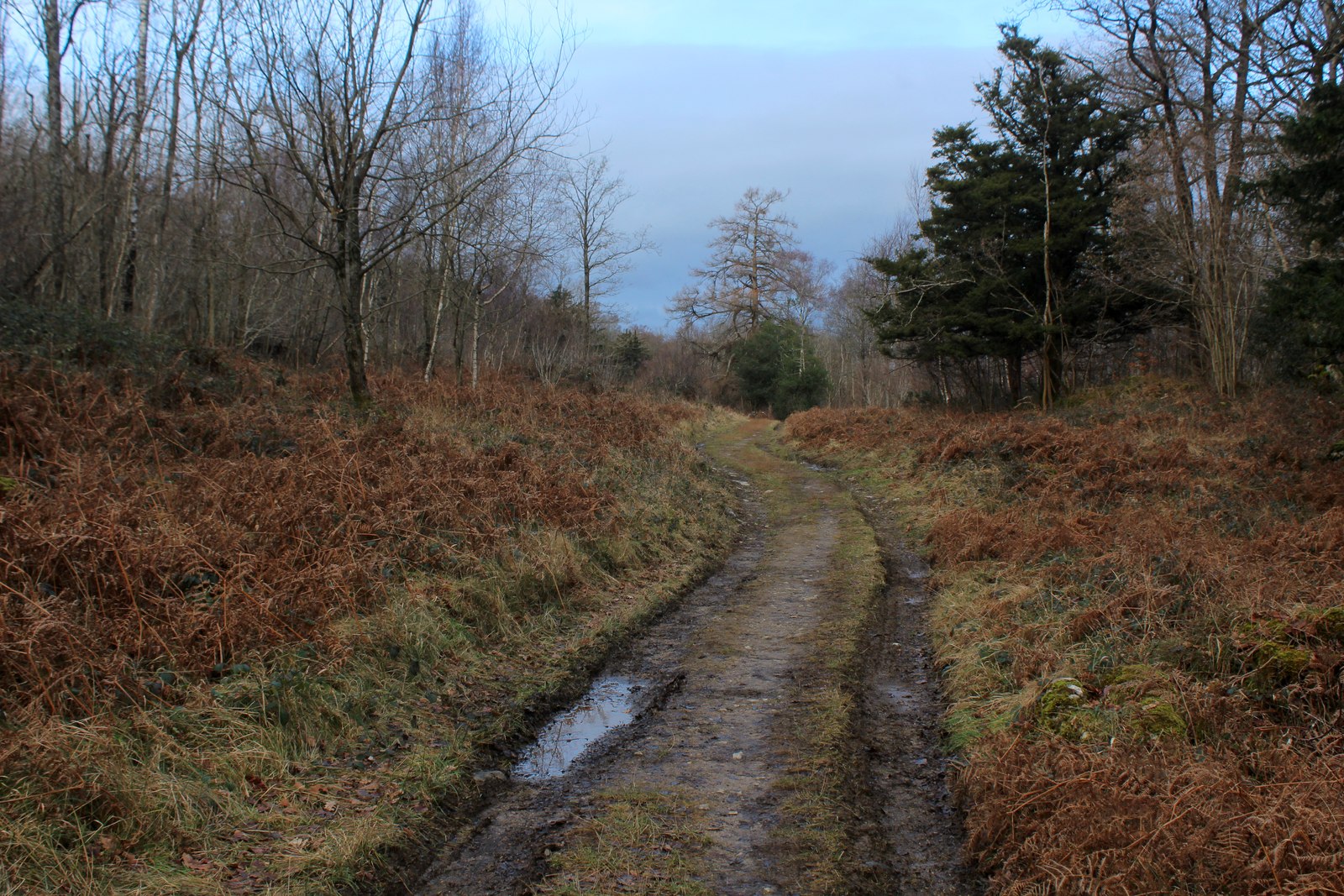 Anytime Race 2: Whitbarrow - Photo 2